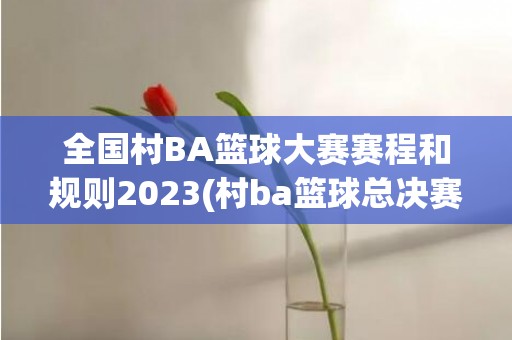 全国村BA篮球大赛赛程和规则2023(村ba篮球总决赛)