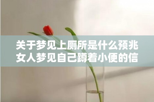 关于梦见上厕所是什么预兆女人梦见自己蹲着小便的信息