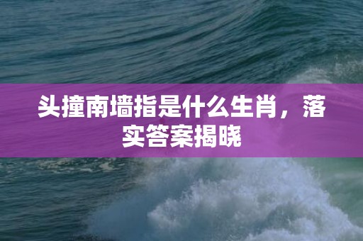 头撞南墙指是什么生肖，落实答案揭晓