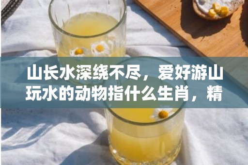 山长水深绕不尽，爱好游山玩水的动物指什么生肖，精选落实解释