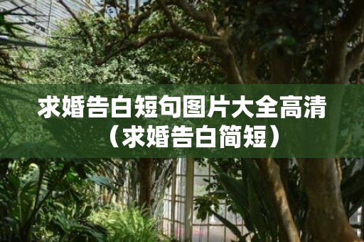 求婚告白短句图片大全高清（求婚告白简短）