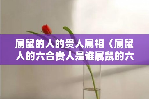 属鼠的人的贵人属相（属鼠人的六合贵人是谁属鼠的六个合生肖贵人是什么）