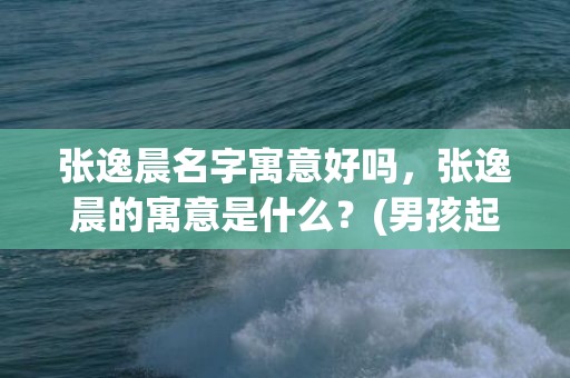 张逸晨名字寓意好吗，张逸晨的寓意是什么？(男孩起名字是睿翔？)