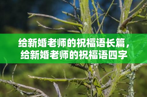 给新婚老师的祝福语长篇，给新婚老师的祝福语四字