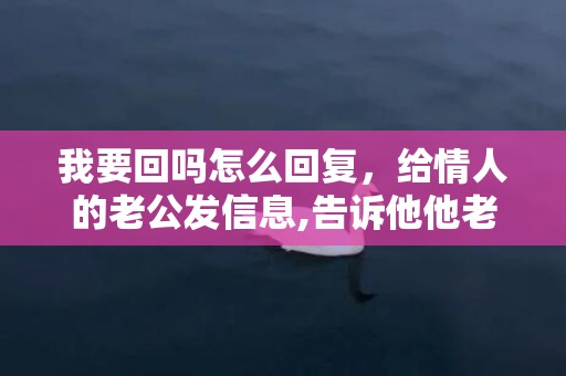 我要回吗怎么回复，给情人的老公发信息,告诉他他老婆出轨了嘛