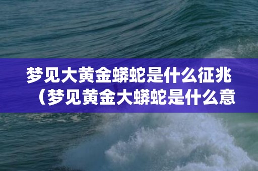 梦见大黄金蟒蛇是什么征兆（梦见黄金大蟒蛇是什么意思梦见了一条黄金大蟒蛇什么意思_...）