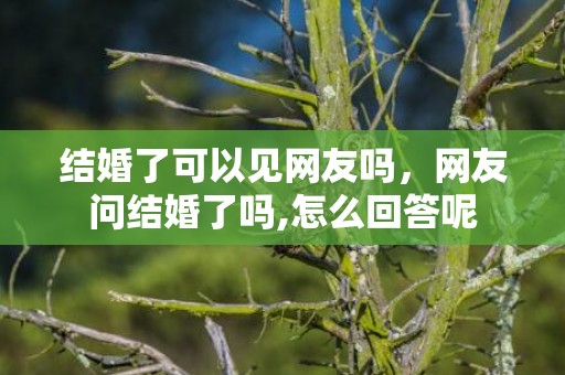 结婚了可以见网友吗，网友问结婚了吗,怎么回答呢