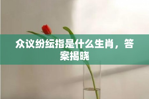 众议纷纭指是什么生肖，答案揭晓