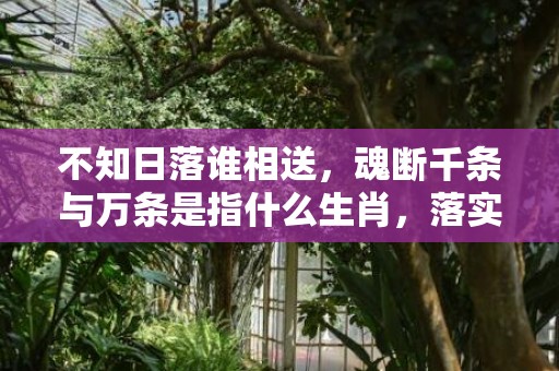 不知日落谁相送，魂断千条与万条是指什么生肖，落实选解释