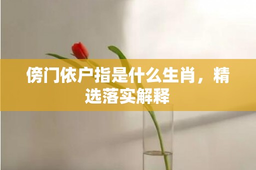 傍门依户指是什么生肖，精选落实解释