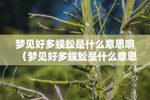 梦见好多蜈蚣是什么意思啊（梦见好多蜈蚣是什么意思）