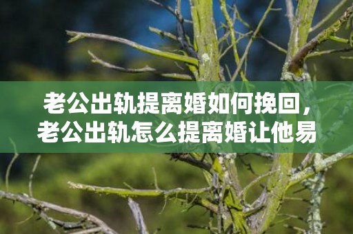 老公出轨提离婚如何挽回，老公出轨怎么提离婚让他易接受