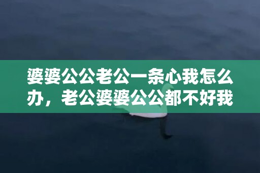 婆婆公公老公一条心我怎么办，老公婆婆公公都不好我有孩子怎么办呢