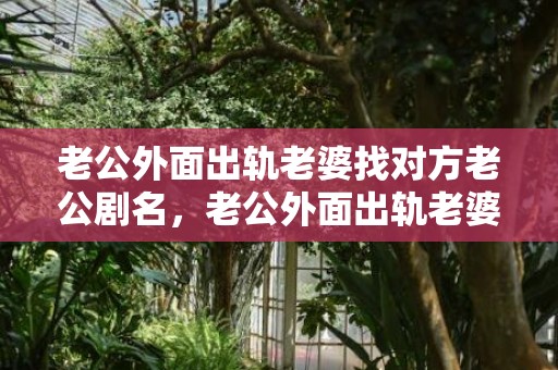 老公外面出轨老婆找对方老公剧名，老公外面出轨老婆该怎么处理