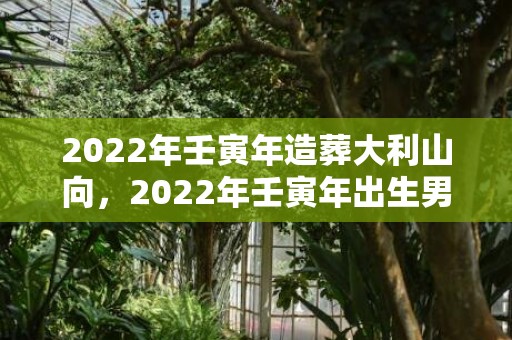 2022年壬寅年造葬大利山向，2022年壬寅年出生男孩取名大全，虎年男宝宝名字