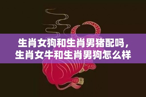 生肖女狗和生肖男猪配吗，生肖女牛和生肖男狗怎么样