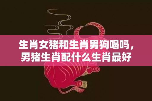 生肖女猪和生肖男狗喝吗，男猪生肖配什么生肖最好