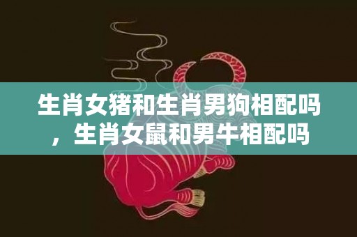 生肖女猪和生肖男狗相配吗，生肖女鼠和男牛相配吗