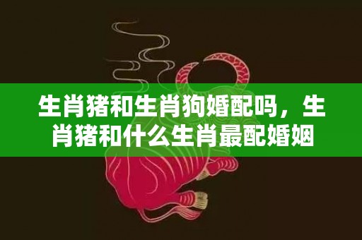 生肖猪和生肖狗婚配吗，生肖猪和什么生肖最配婚姻