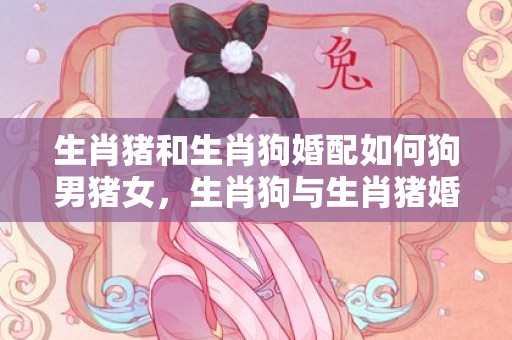 生肖猪和生肖狗婚配如何狗男猪女，生肖狗与生肖猪婚配怎样