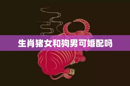 生肖猪女和狗男可婚配吗