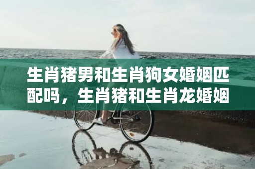 生肖猪男和生肖狗女婚姻匹配吗，生肖猪和生肖龙婚姻相配吗