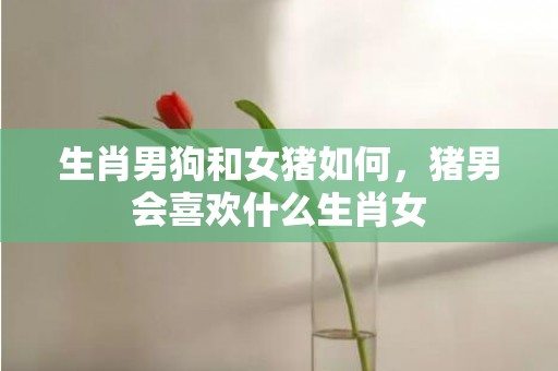 生肖男狗和女猪如何，猪男会喜欢什么生肖女