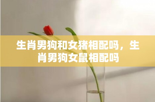 生肖男狗和女猪相配吗，生肖男狗女鼠相配吗