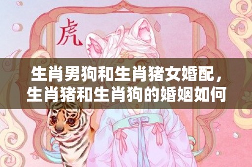 生肖男狗和生肖猪女婚配，生肖猪和生肖狗的婚姻如何