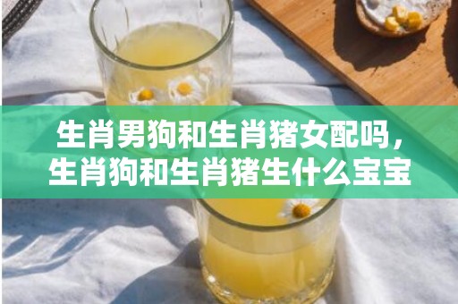 生肖男狗和生肖猪女配吗，生肖狗和生肖猪生什么宝宝