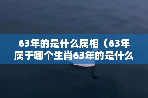 63年的是什么属相（63年属于哪个生肖63年的是什么生肖）