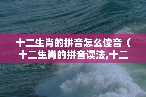 十二生肖的拼音怎么读音（十二生肖的拼音读法,十二生肖的读音十二生肖读音）