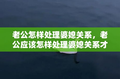 老公怎样处理婆媳关系，老公应该怎样处理婆媳关系才好