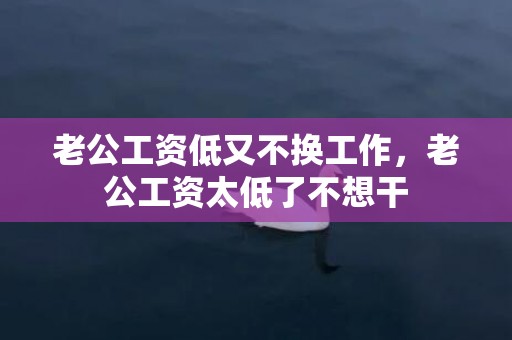 老公工资低又不换工作，老公工资太低了不想干