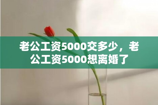 老公工资5000交多少，老公工资5000想离婚了