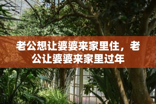 老公想让婆婆来家里住，老公让婆婆来家里过年