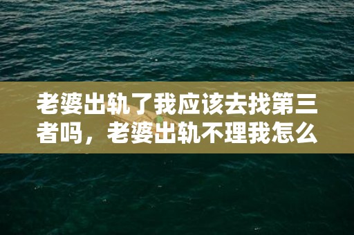 老婆出轨了我应该去找第三者吗，老婆出轨不理我怎么办