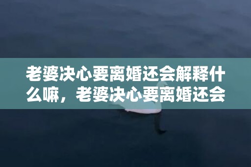 老婆决心要离婚还会解释什么嘛，老婆决心要离婚还会跟老公解释什么吗知乎