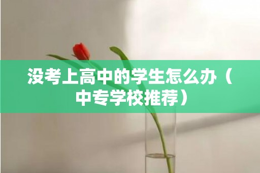 没考上高中的学生怎么办（中专学校推荐）