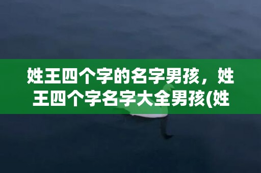 姓王四个字的名字男孩，姓王四个字名字大全男孩(姓王四个字的名字男孩)