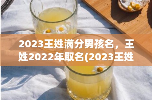 2023王姓满分男孩名，王姓2022年取名(2023王姓满分母亲行郑父亲王)