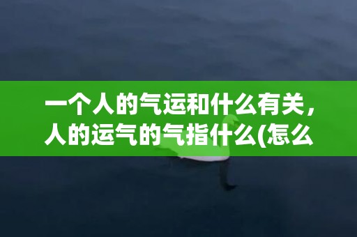 一个人的气运和什么有关，人的运气的气指什么(怎么坏一个人的气运)