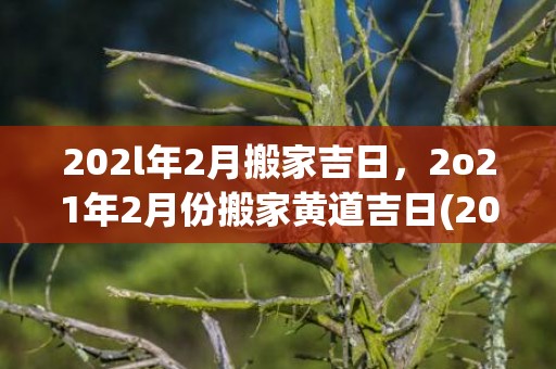 202l年2月搬家吉日，2o21年2月份搬家黄道吉日(202l年信息)