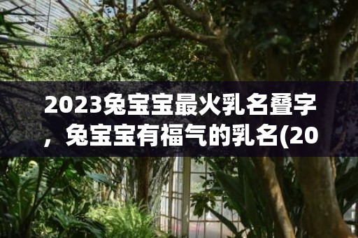 2023兔宝宝最火乳名叠字，兔宝宝有福气的乳名(2023兔宝宝最火乳名不叠字)