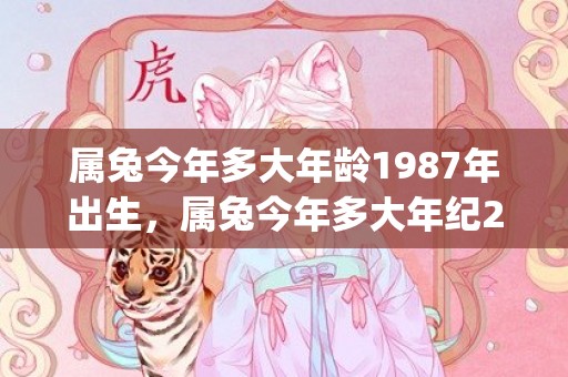 属兔今年多大年龄1987年出生，属兔今年多大年纪2020(属鸡今年多大年龄)