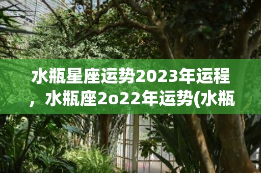 水瓶星座运势2023年运程，水瓶座2o22年运势(水瓶星座运势2022年9月运程)