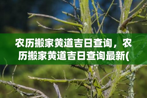 农历搬家黄道吉日查询，农历搬家黄道吉日查询最新(农历搬家黄道吉日9月20好还是22搬家后)