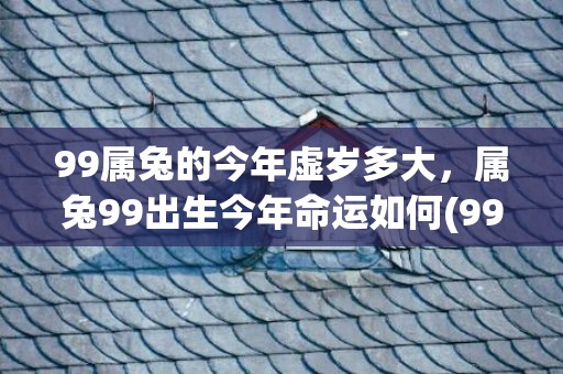 99属兔的今年虚岁多大，属兔99出生今年命运如何(99属兔的今年虚岁多大)