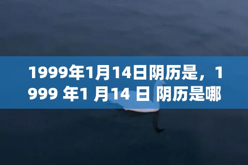 1999年1月14日阴历是，1999 年1 月14 日 阴历是哪天(1999年1月1日出生的命运和婚姻)