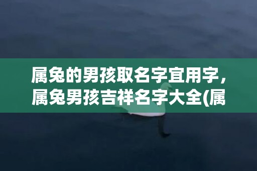 属兔的男孩取名字宜用字，属兔男孩吉祥名字大全(属兔的男孩取名字大全免费)